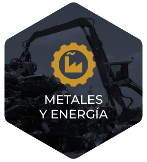 Logo de agrogan